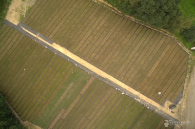Produktion og distribution af planteskolematerialer Polen 20